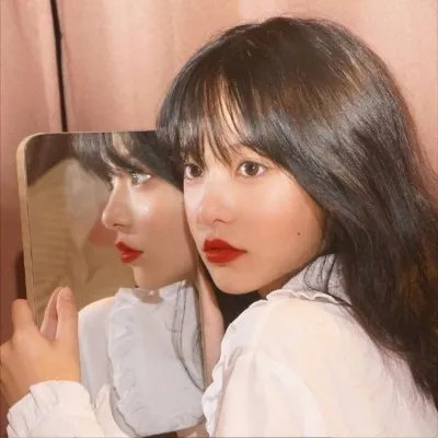 哈吉布基的森林冒险